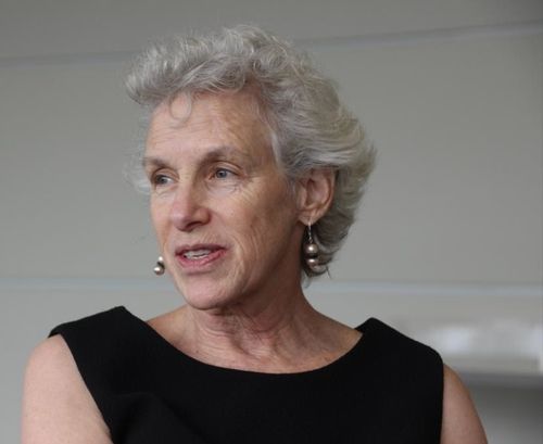 조앤 윌리엄스 미국 캘리포니아대 샌프란시스코 법학대학 명예교수