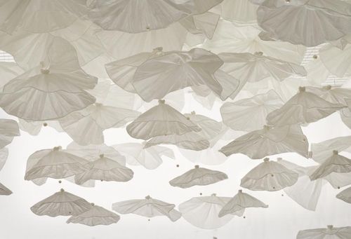 남지현 작가 '백화'