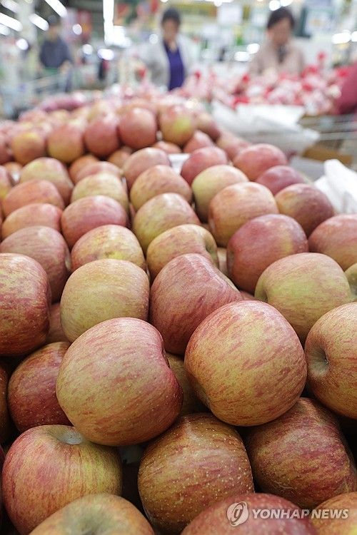 사과 공급 감소 전망