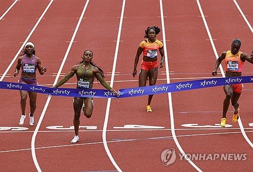 리처드슨의 역주