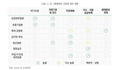 [보험연구원 자료 갈무리]