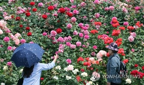 꽃밭에서