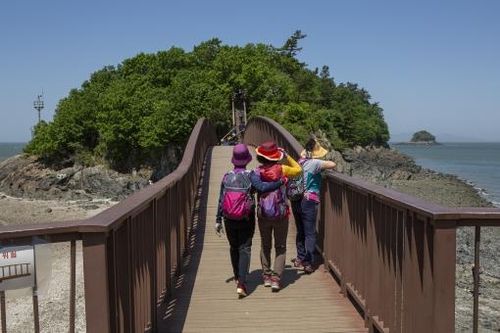 안산 대부해솔길