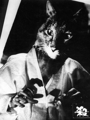 영화 '살인마' 관련 이미지 