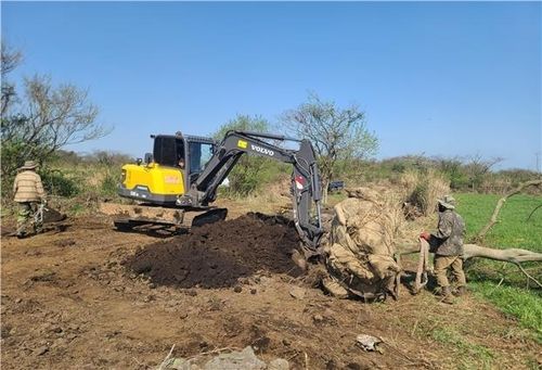 지난해 3월 제주시 봉개동 현장 적발 사진