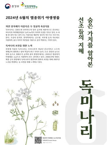 6월 멸종위기종에 '독미나리'…"함부로 채취하거나 먹지마세요" - 2
