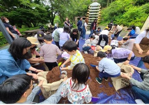 조내기 고구마 체험 행사 자료사진