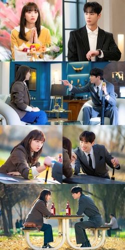 티빙 새 오리지널 시리즈 '나는 대놓고 신데렐라를 꿈꾼다'