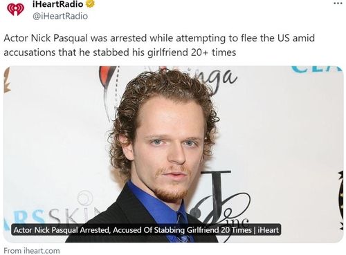 살인미수 혐의로 기소된 미국 배우 닉 패스콸