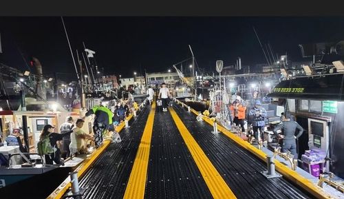 낚시어선 운집한 마량항