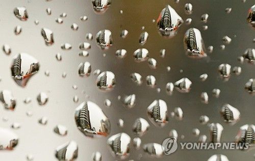 비 내리는 풍경