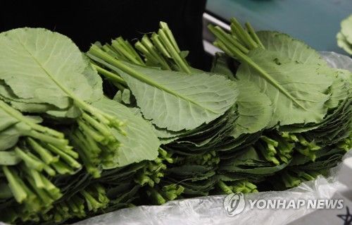 포장 중인 농산물