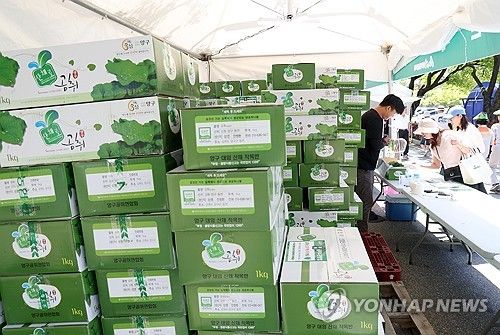 '2024 청춘양구 곰취축제'