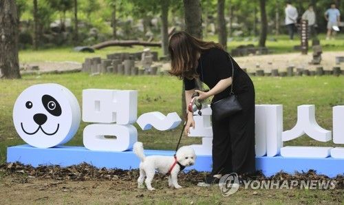 반려견 여행 이벤트에 참가한 반려견 가족