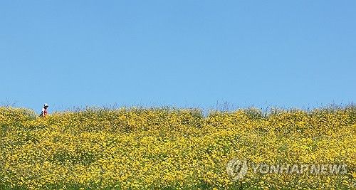 파란 초여름 하늘