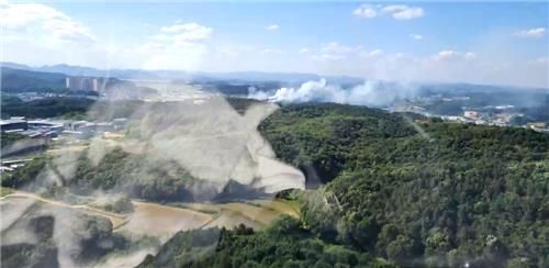 파주 탄현면 산불