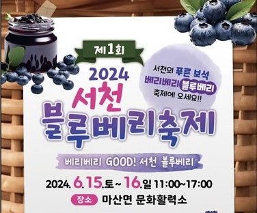 서천 마산서 15∼16일 블루베리 축제