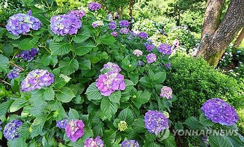 여름의 문턱에서