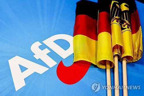 극우정당 독일대안당(AfD)