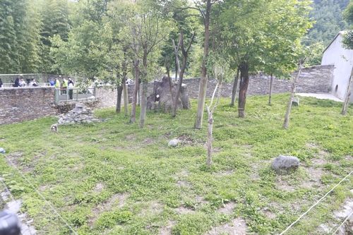 푸바오가 생활할 야외 방사장