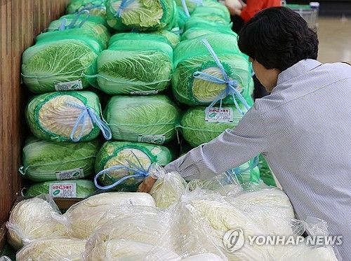 대형마트에서 배추를 고르는 시민의 모습