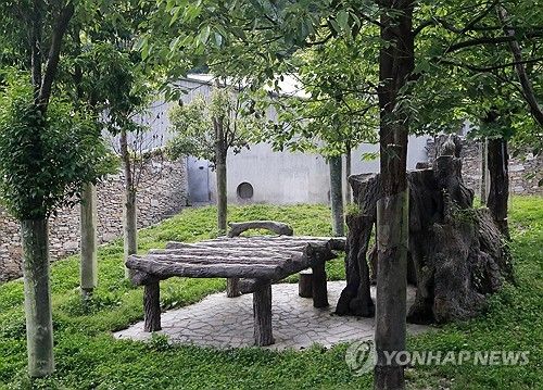 푸바오가 살 야외 방사장