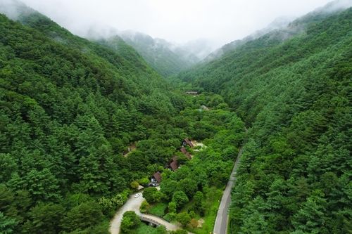 양구군 광치자연휴양림