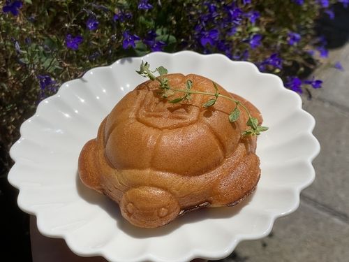 거북이 빵