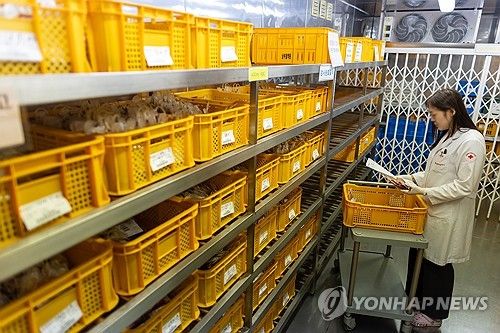 세계 헌혈자의 날