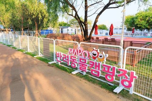 마포구 반려동물 캠핑장 내 캠핑데크