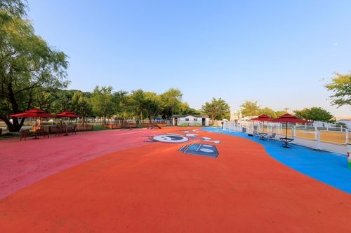 마포구 반려동물 캠핑장 내 놀이터