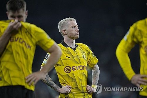 도르트문트의 마르코 로이스