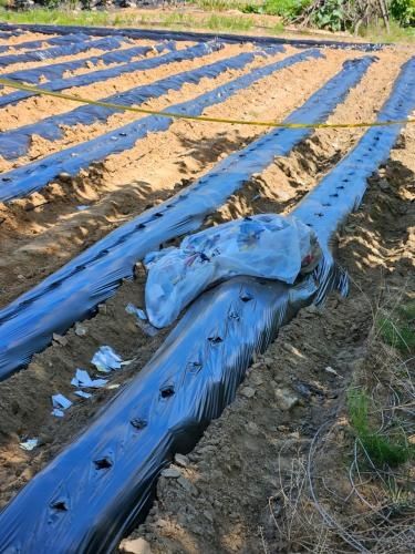 문경시 문경읍 당포리 밭에 떨어진 대남 오물 풍선 추정 물체 