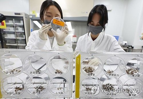 모기 분류작업 시연