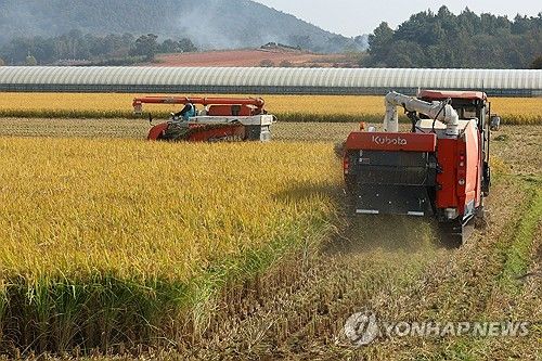 수확하는 가을 농촌