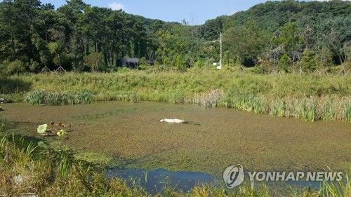 군포시 초막골생태공원