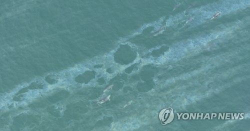 제주 하도리 해상 기름띠