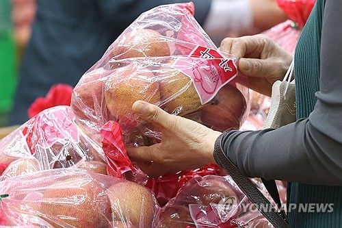 사과 출하량 감소 전망