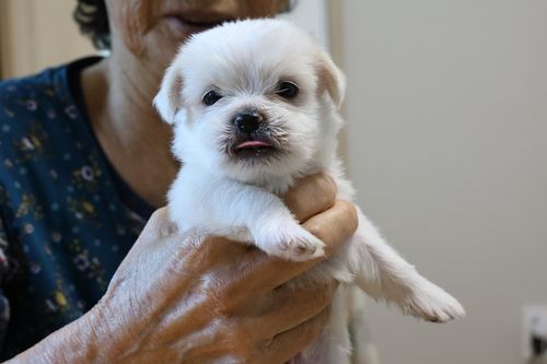 임시주택서 태어난 새생명