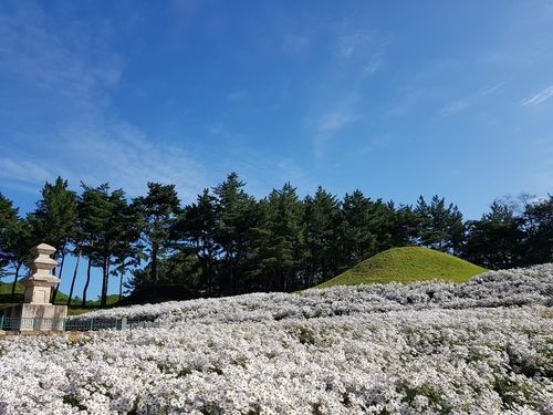 보물 '경주 서악동 삼층석탑' 주변 