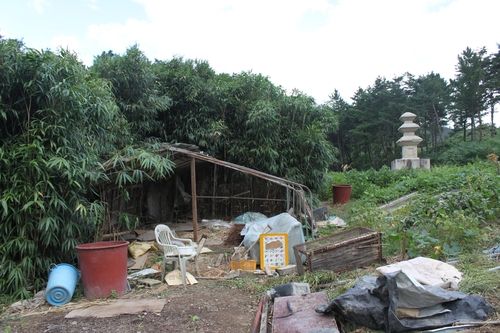 보물 '경주 서악동 삼층석탑' 주변 정비 전 모습 