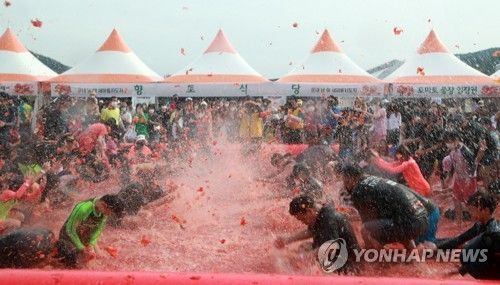 둔내고랭지토마토축제