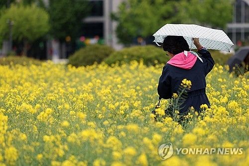 우산 쓰고 꽃밭으로