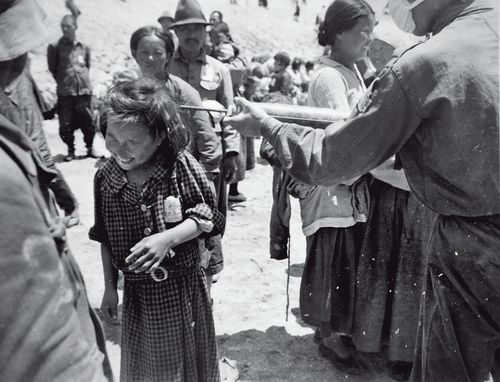 인천에서 어린이 머리에 DDT 살충제를 뿌리고 있다. DDT는 이나 빈대 등 해충 박멸에 효과적이었으나 유해성이 밝혀져 1970년대부터 사용이 금지되었다. 1948년 [국사편찬위원회 제공]