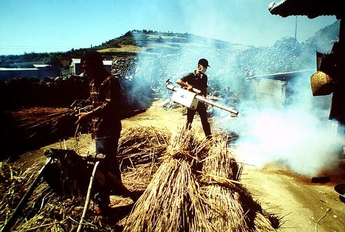 해군 봉사단이 낙도에서 방역 활동을 하고 있다. 1984년 [연합뉴스 자료사진]