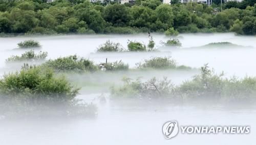 소양강 물안개. [연합뉴스 자료 사진]