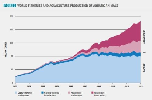 수산물 자연산과 양식 양식의 비중 역전