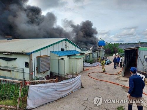 고창 돈사에서 불