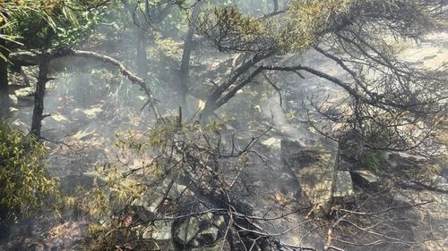 인천 강화도 야산 화재