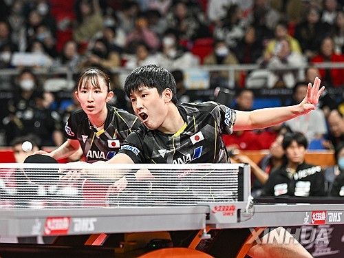 하리모토-하야타 조